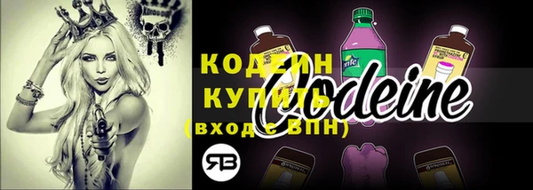 твердый Абаза