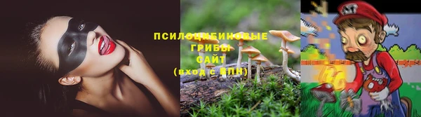винт Алексеевка