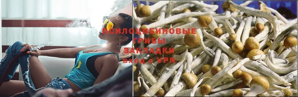 винт Алексеевка