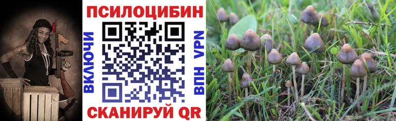 Псилоцибиновые грибы Magic Shrooms  Шацк 